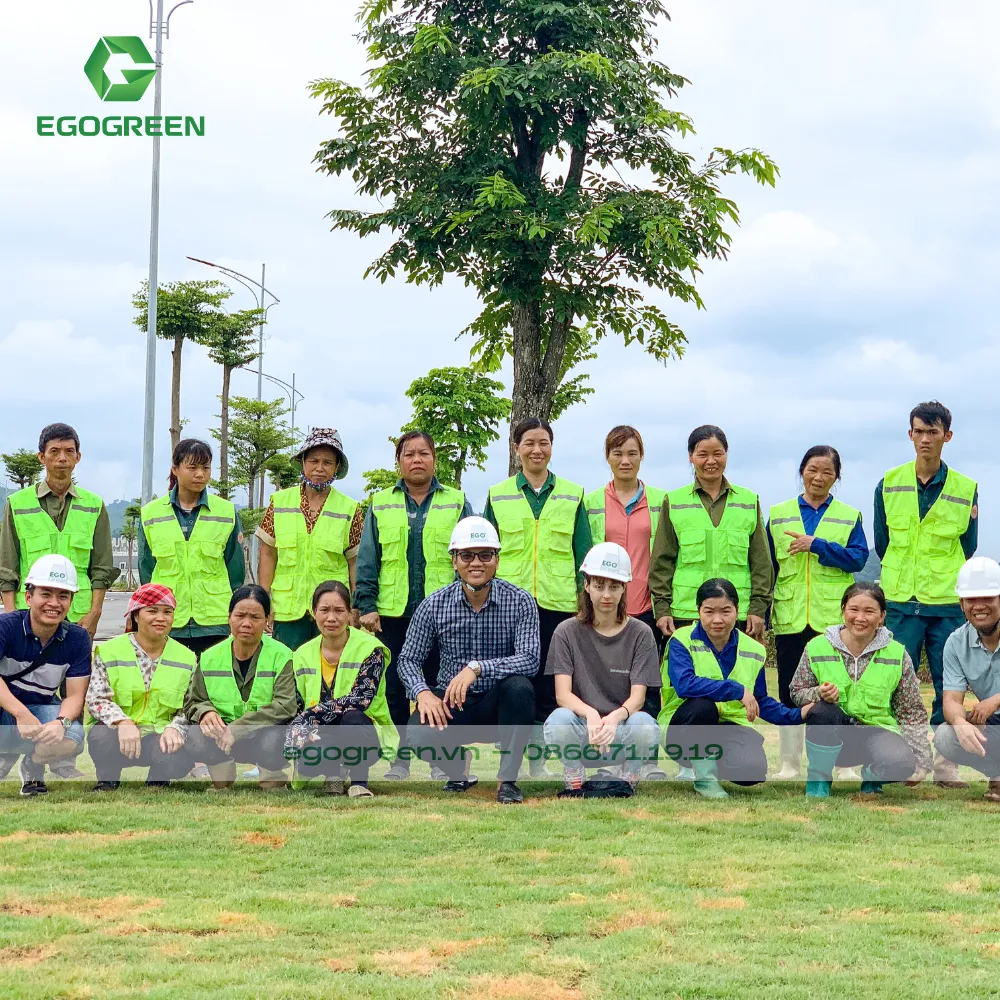 Đội ngũ lành nghề và tận tâm của EGOGREEN